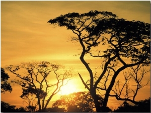 Botswana, Kalahari Desert, Sunset