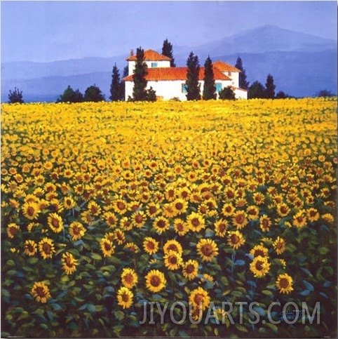 Sunflowers Field