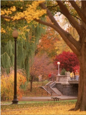 Public Gardens in Autumn, Boston, MA