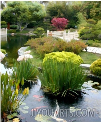 Japanese Garden Koi Pond