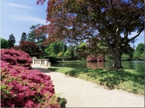 Path on Bank of Ten Foot Pond, Sheffield Park Garden, East Sussex, England, United Kingdom