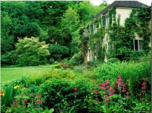 Wiltshire Bog and Woodland Garden with Pond and Lush Foliage