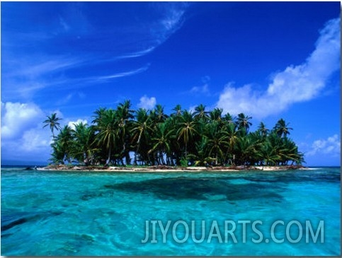 Coconut Palm Trees on Key in San Blas Islands, Panama