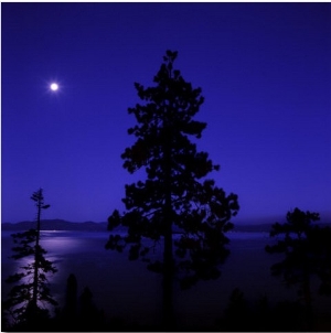 Full Moon in Night Sky over Trees and Lake Tahoe, Nevada, USA