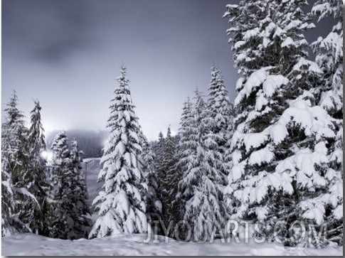 Light Pollution from a Night Ski Area Fills the Sky on Mt. Hood