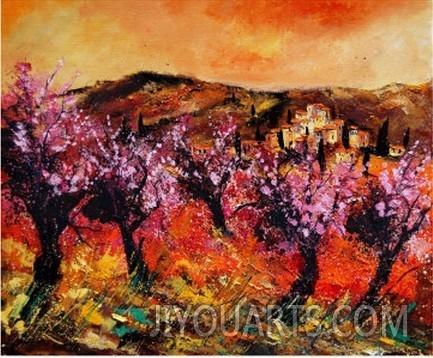 Blooming Cherry Trees In Provence