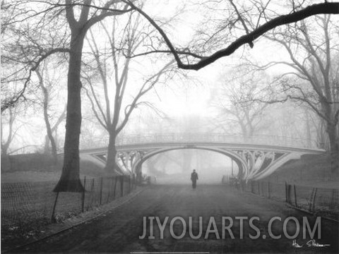 Gothic Bridge, Central Park, New York City