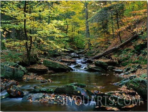 Ricketts Glen State PArk, PA