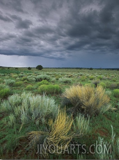 Sage and Storm Clouds Near Gallup