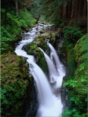 Sol Duc Falls Olympic National Park, Washington, USA