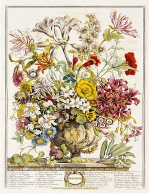 Hand Colored Engraving of Bouquet  October, 1730