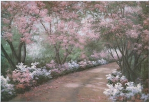 Azalea Walk