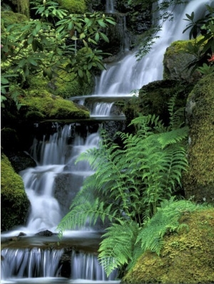 Japanese Garden, Portland, Oregon, USA