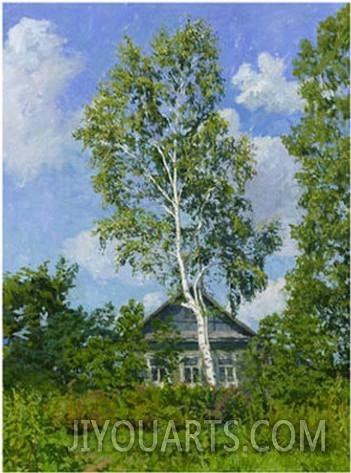 Birch Tree Near Dwelling