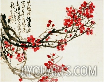 Plum Blossoms