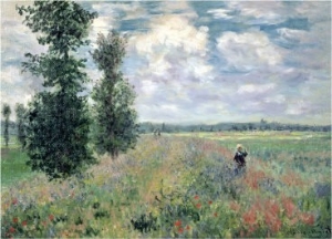 The Poppy Field