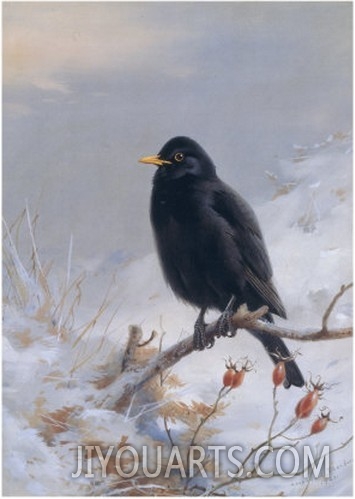 In Winter