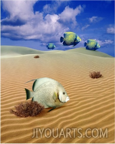 desert fish