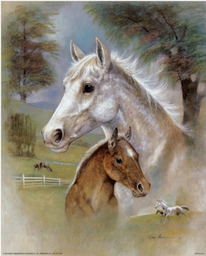 Dapple Mare and Fowl