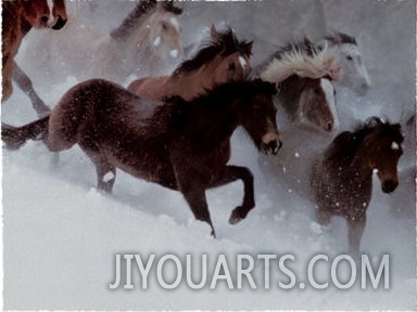 Horses in the Snow