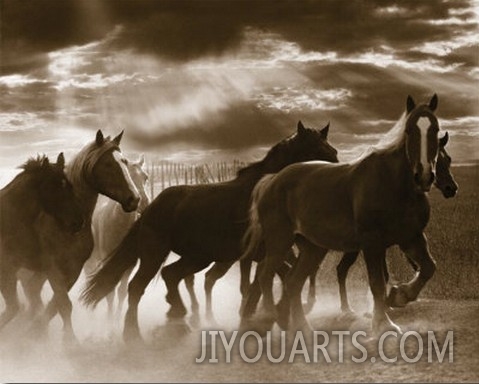 Running Horses and Sunbeams