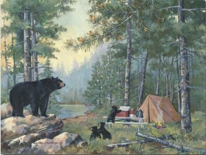 Bears