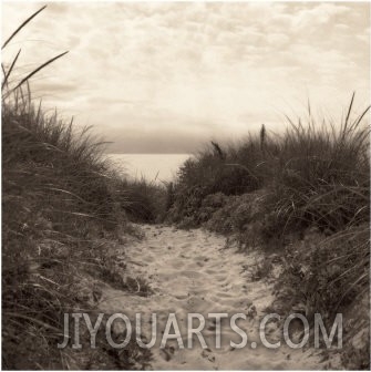 Dune Path