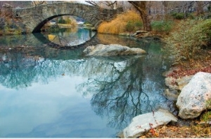 Central Park Scene In Late Autumn