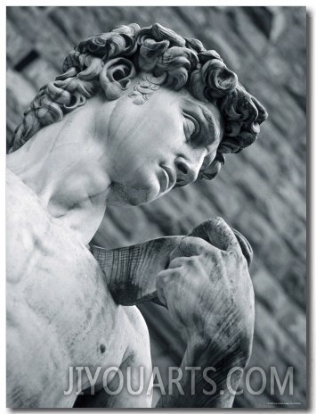 Statue of David, Florence, Tuscany, Italy