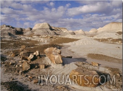 Blue Mesa, Petrified Forest National Park, Arizona, USA