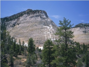 Checkerboard Mesa in the Zion National Park in Utah, United States of America, North America