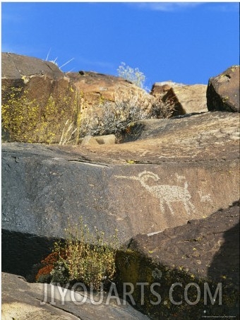 Close View of a Petroglyph in Little Petroglyph Canyon