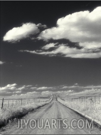 Countryside with Road Horizon