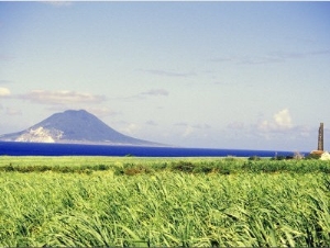 Crops, St. Kitts, Caribbean