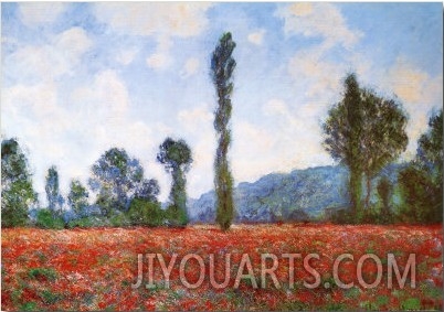 Field of Poppies