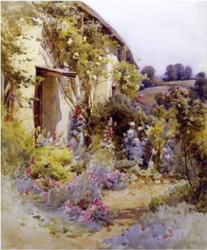 Cottage Garden