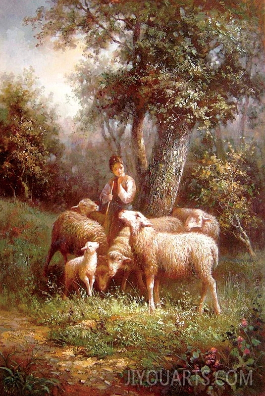 sheep in the field