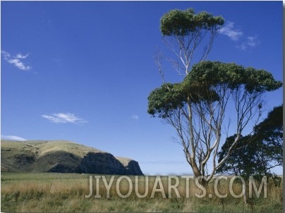 Hickory Bay, Banks Peninsula, Canterbury, South Island, New Zealand