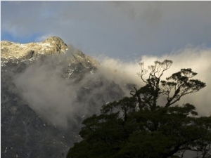 Evening Storm Clouds, Mountains and Beech Trees at Hasst Pass