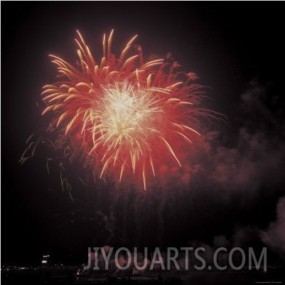 Bright and Colorful Fireworks Exploding in the Night Sky