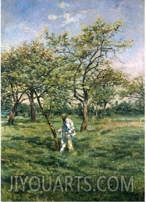 In the Orchard