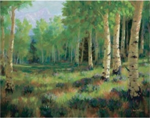 Aspen Meadow