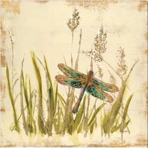 Dragonfly Meadow