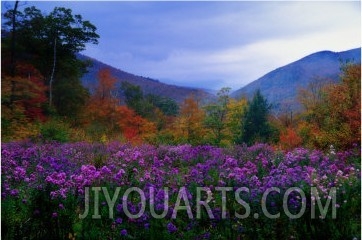 Fall Meadow at Twilight