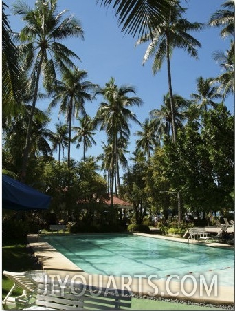 Peaceful Swimming Pool Amongst Tropical Palm Trees