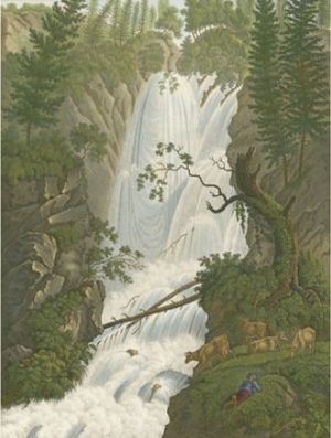 Tranquil Cascade I