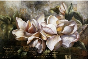 Dawning Magnolias