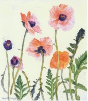 Oriental Poppies