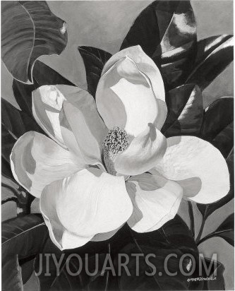 White Magnolia