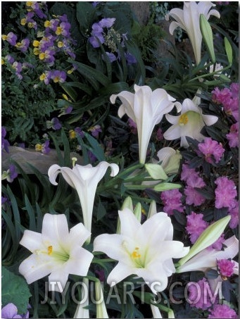 Hydrangea, Violas, Easter Lily